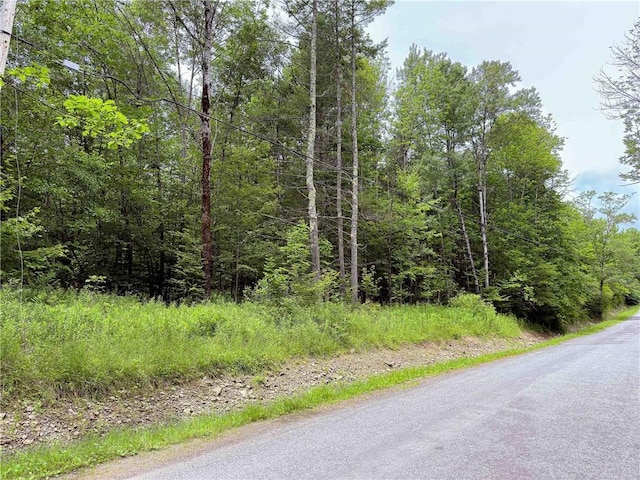 Sheff Rd, New Berlin, NY 13843 - photo 2