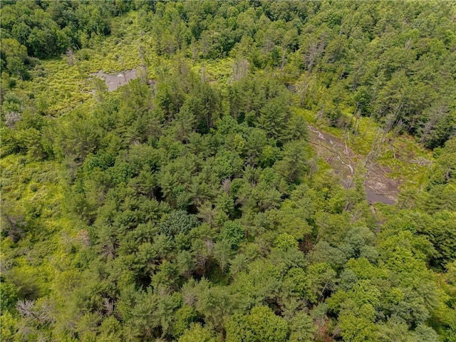 Sheff Rd, New Berlin, NY 13843 - photo 7