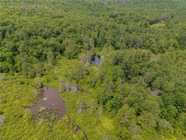 Sheff Rd, New Berlin, NY 13843 - photo 9