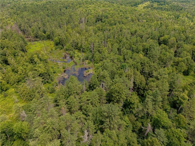 Sheff Rd, New Berlin, NY 13843 - photo 11