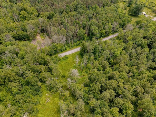 Sheff Rd, New Berlin, NY 13843 - photo 20
