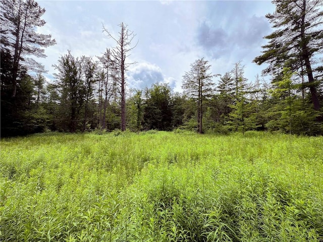 Sheff Rd, New Berlin, NY 13843 - photo 24