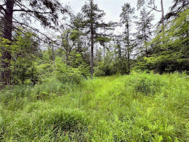 Sheff Rd, New Berlin, NY 13843 - photo 25