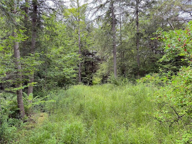 Sheff Rd, New Berlin, NY 13843 - photo 26