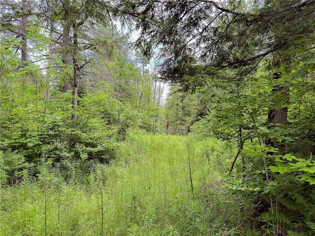 Sheff Rd, New Berlin, NY 13843 - photo 27