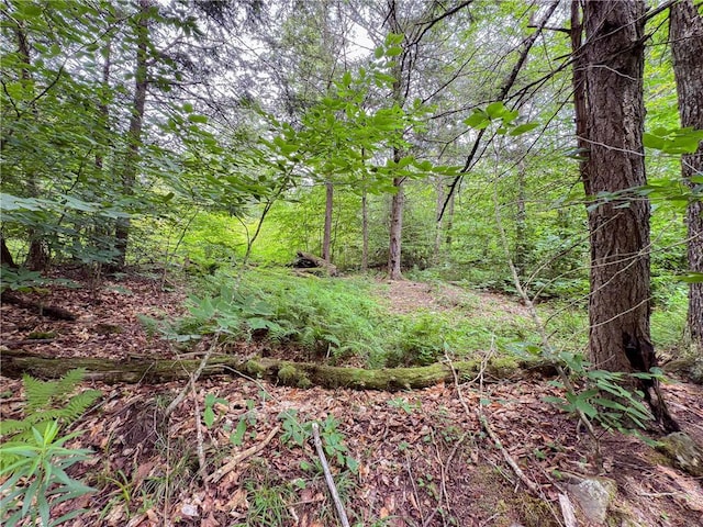 Sheff Rd, New Berlin, NY 13843 - photo 29