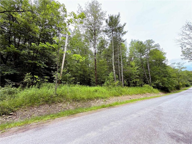 Sheff Rd, New Berlin, NY 13843 - photo 32