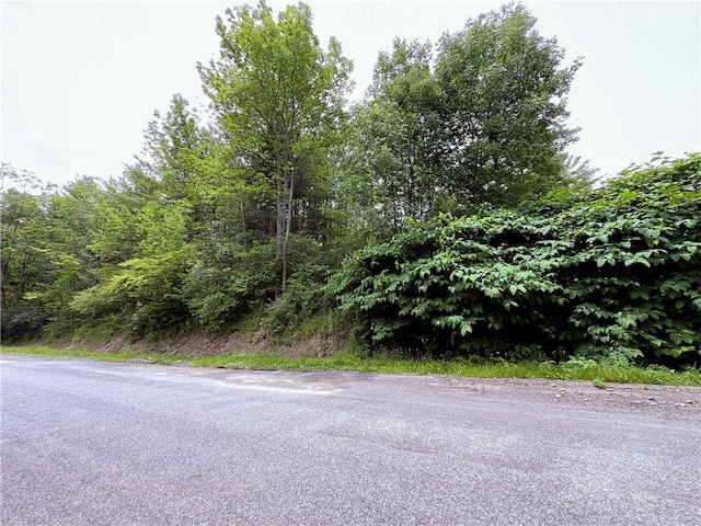 Sheff Rd, New Berlin, NY 13843 - photo 33