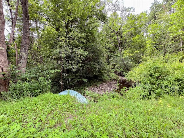 Sheff Rd, New Berlin, NY 13843 - photo 34
