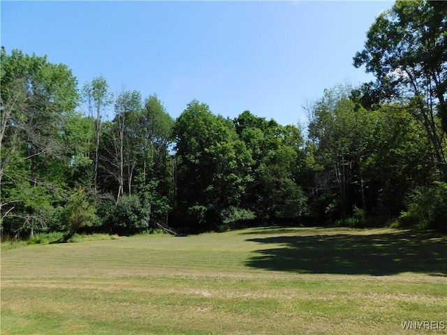 4153 Witter Rd, Cuba, NY 14727 - photo 2