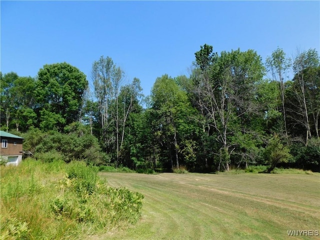 4153 Witter Rd, Cuba, NY 14727 - photo 3