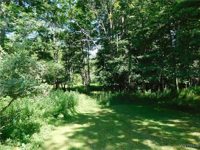 4153 Witter Rd, Cuba, NY 14727 - photo 6
