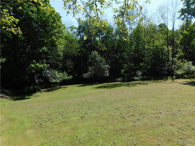 4153 Witter Rd, Cuba, NY 14727 - photo 7