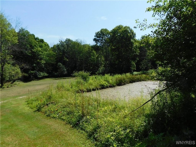 4153 Witter Rd, Cuba, NY 14727 - photo 9