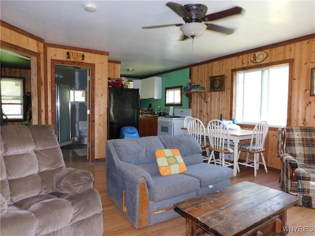 4153 Witter Rd, Cuba, NY 14727 - photo 15
