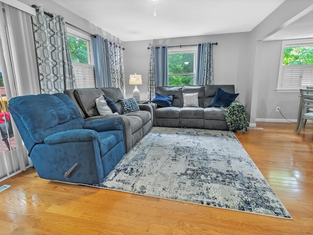 43 Woodridge Trl, Henrietta, NY 14467 - photo 8