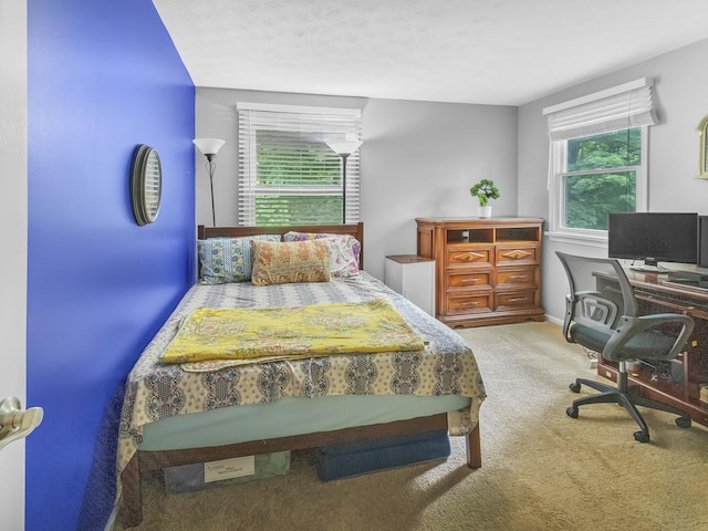 43 Woodridge Trl, Henrietta, NY 14467 - photo 26
