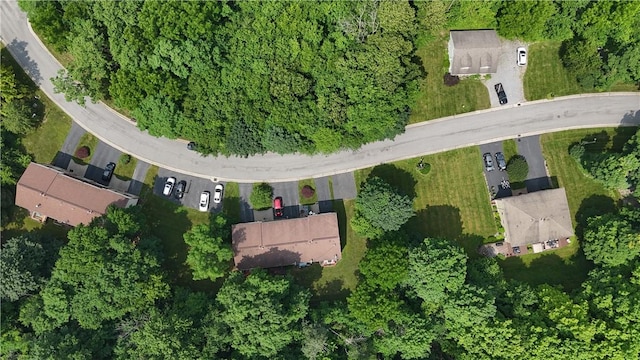 43 Woodridge Trl, Henrietta, NY 14467 - photo 35