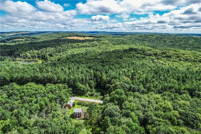 239 Paradise Hill Rd, Deruyter, NY 13052 - photo 28