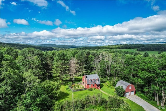 239 Paradise Hill Rd, Deruyter, NY 13052 - photo 29