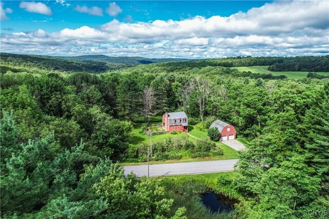 239 Paradise Hill Rd, Deruyter, NY 13052 - photo 30