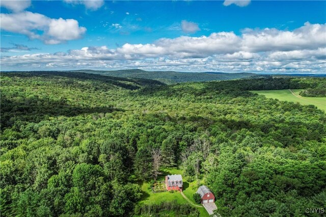 239 Paradise Hill Rd, Deruyter, NY 13052 - photo 31