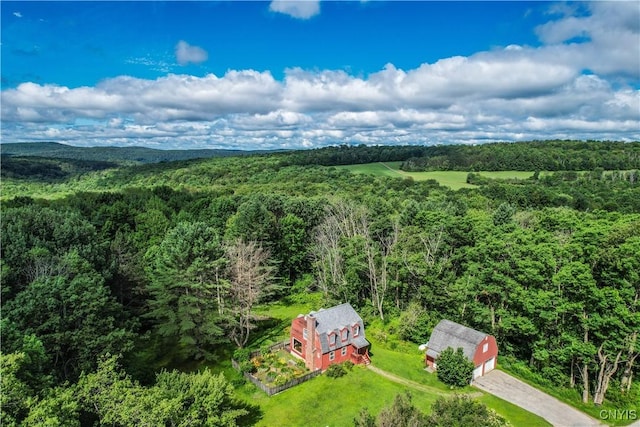 239 Paradise Hill Rd, Deruyter, NY 13052 - photo 33