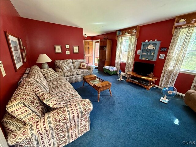 239 Paradise Hill Rd, Deruyter, NY 13052 - photo 9