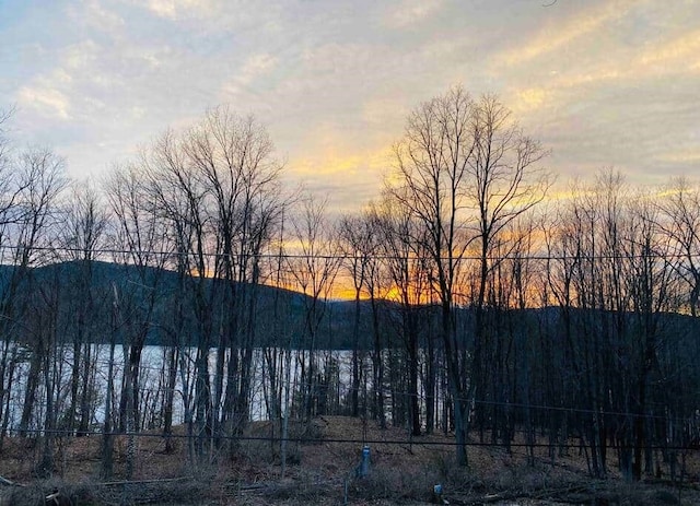 657 State Route 990v, Gilboa, NY 12076 - photo 2