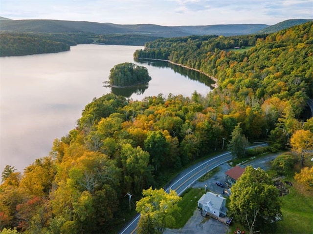 657 State Route 990v, Gilboa, NY 12076 - photo 3
