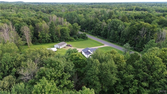 1128 Silk Rd, Volney, NY 13069 - photo 9