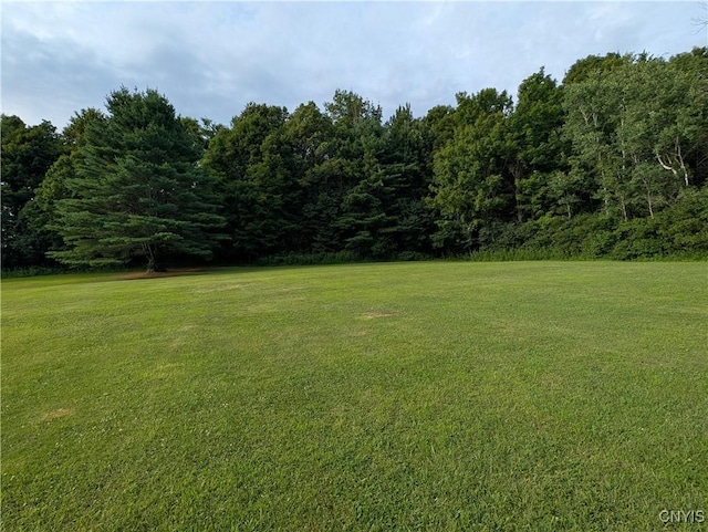 1128 Silk Rd, Volney, NY 13069 - photo 11