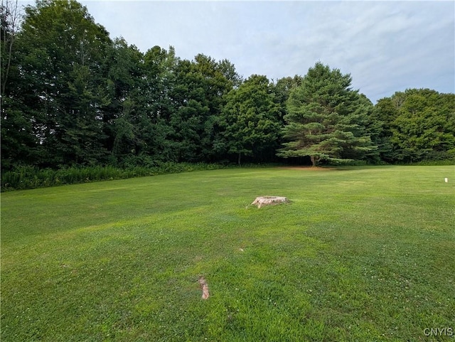 1128 Silk Rd, Volney, NY 13069 - photo 12