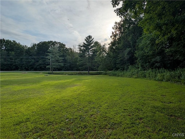1128 Silk Rd, Volney, NY 13069 - photo 13