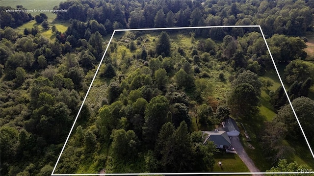 2817 County Route 17, Williamstown, NY 13493 - photo 2