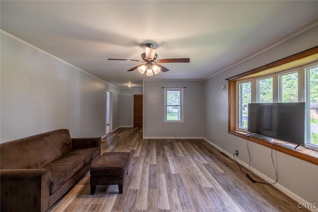 2817 County Route 17, Williamstown, NY 13493 - photo 6