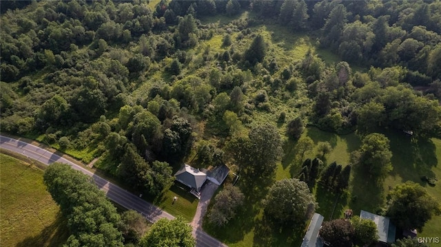 2817 County Route 17, Williamstown, NY 13493 - photo 24