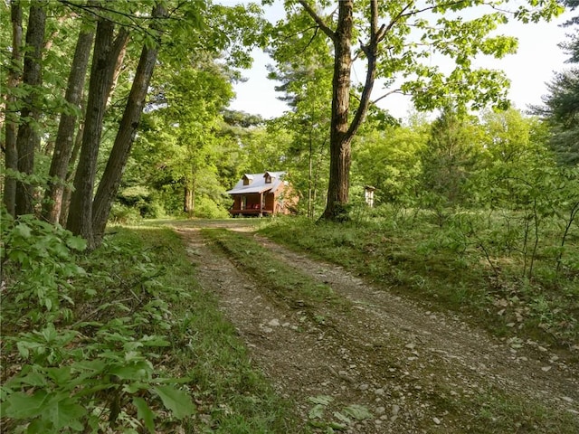 7354 Rhine St, Naples, NY 14512 - photo 43