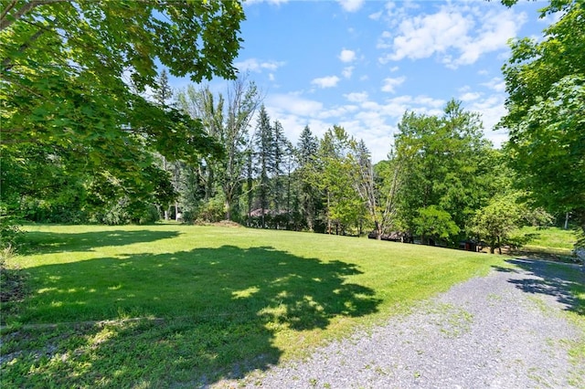 7674 Cardinal Rd, Wolcott, NY 14590 - photo 28