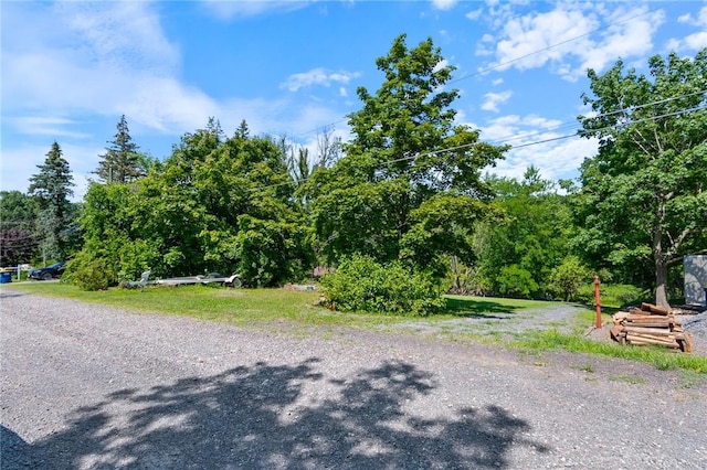 7674 Cardinal Rd, Wolcott, NY 14590 - photo 29