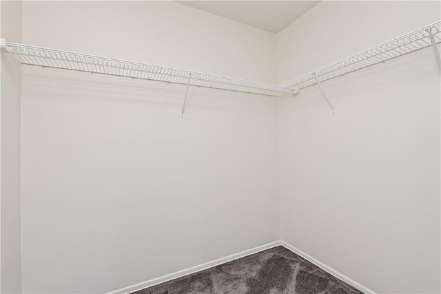 6 Hunt Holw, Chili, NY 14624 - photo 20
