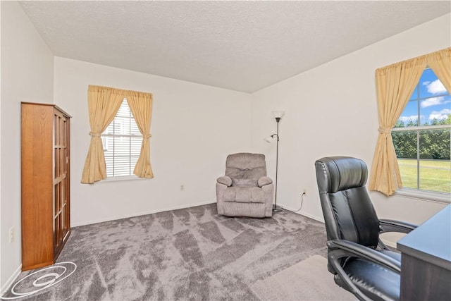 6 Hunt Holw, Chili, NY 14624 - photo 22