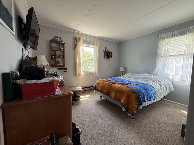 3 Barham Ave, Waterloo, NY 13165 - photo 12