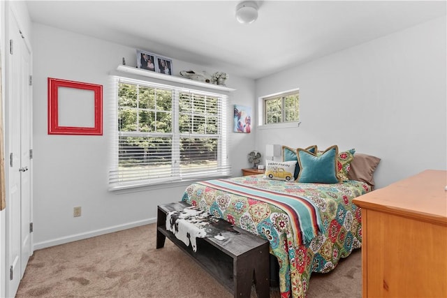 9000 Garlinghouse Atlanta Rd, Naples, NY 14512 - photo 29