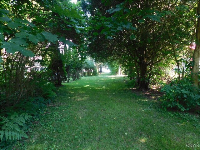 8 Willard Dr, Constantia, NY 13028 - photo 11