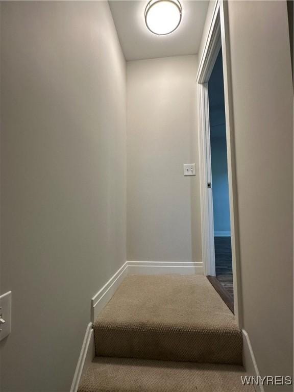 27 Orchard Ave, West Seneca, NY 14224 - photo 33