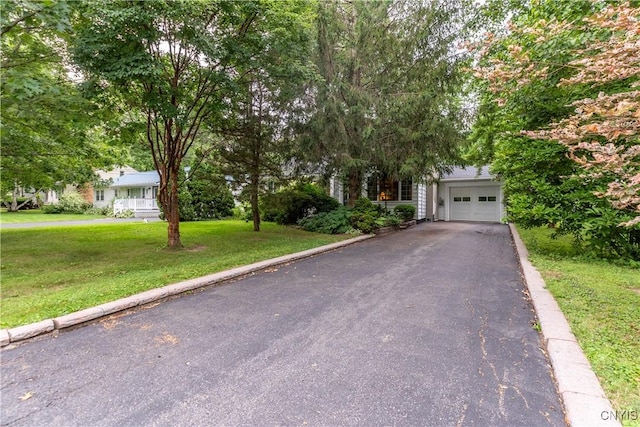 206 Euclid Dr, Manlius, NY 13066 - photo 2