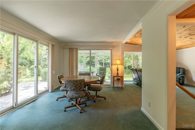 206 Euclid Dr, Manlius, NY 13066 - photo 4