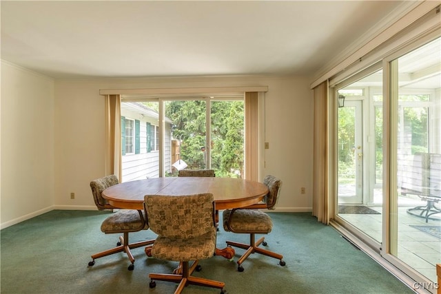 206 Euclid Dr, Manlius, NY 13066 - photo 5