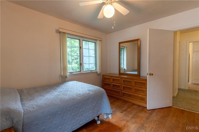 206 Euclid Dr, Manlius, NY 13066 - photo 18